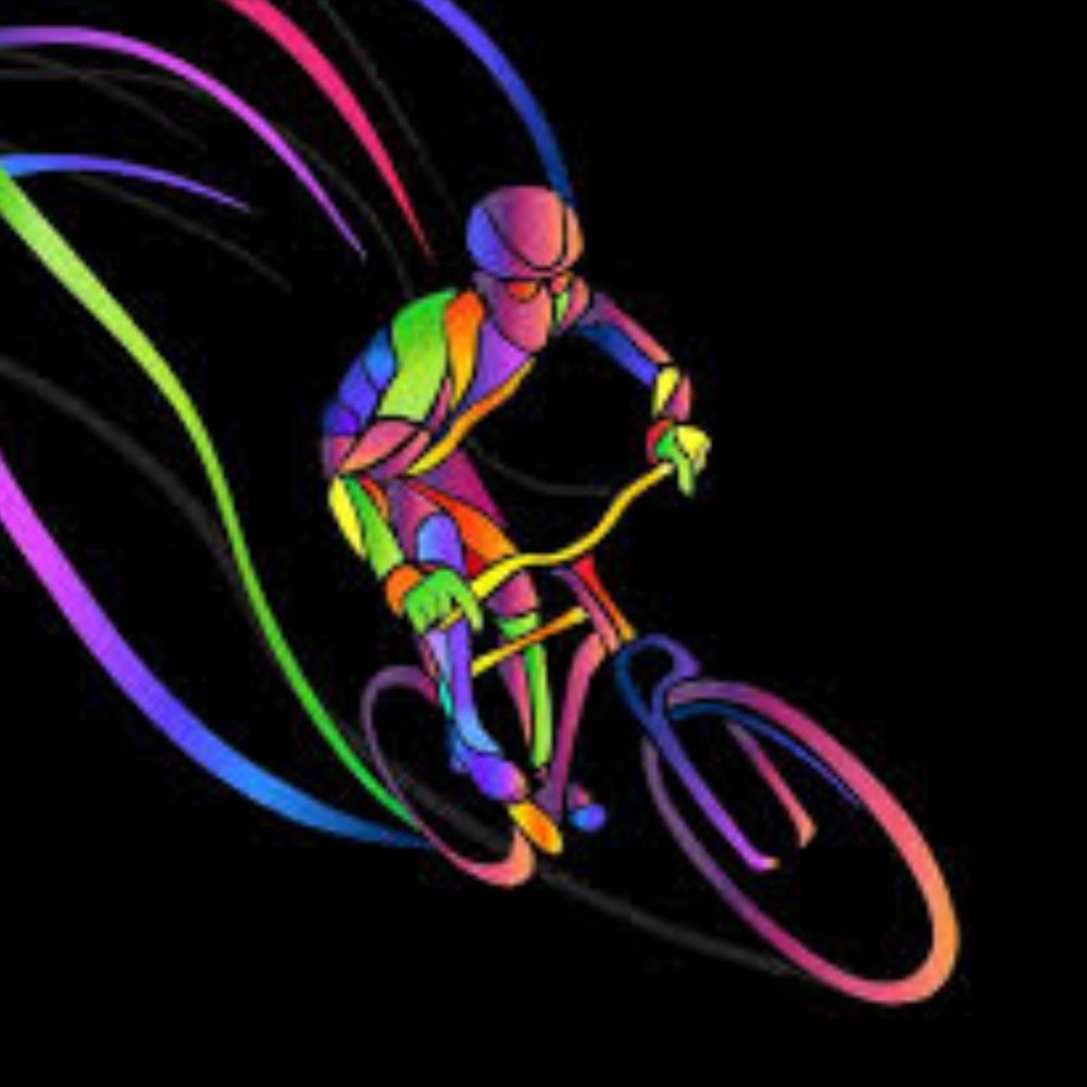 Canari Men's Multi-Color Full Zip Cycling SS Jersey